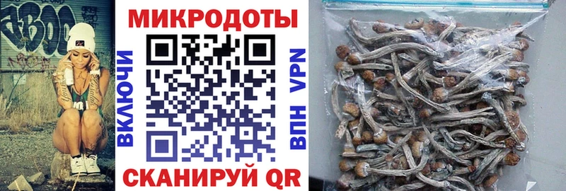 Галлюциногенные грибы Cubensis  Вольск 