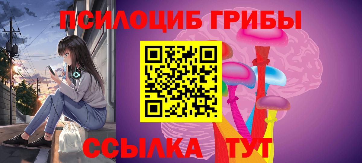 Вольск  Галлюциногенные грибы MAGIC MUSHROOMS  Галлюциногенные грибы прущие грибы  Вход с VPN 