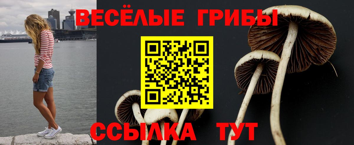 Галлюциногенные грибы Magic Shrooms Вольск
