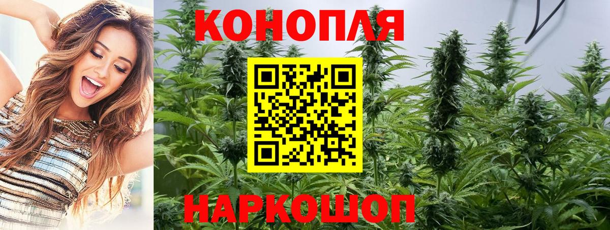 Шишки марихуана план Вольск